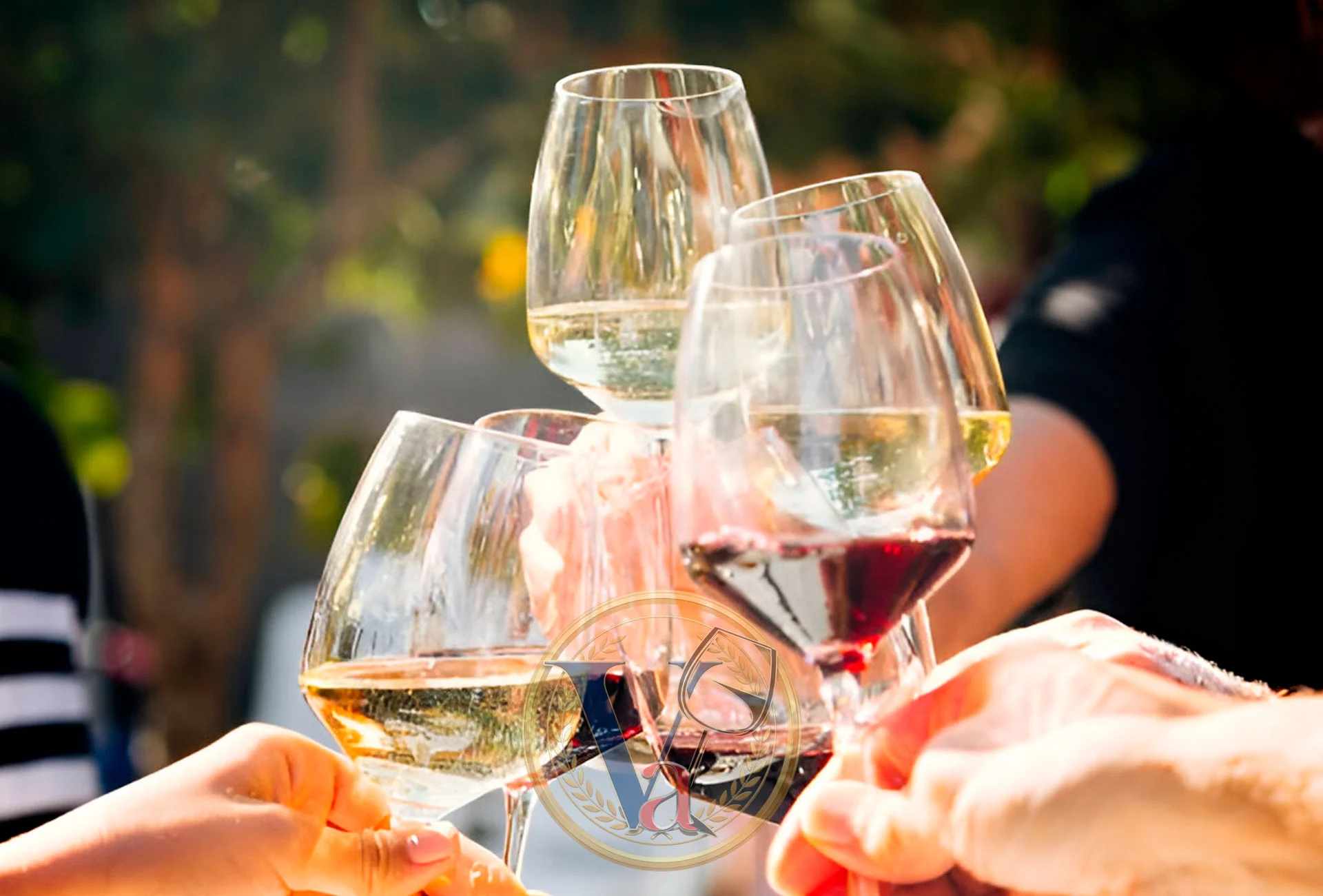 Brindis en Vinartes – Evento sensorial de vinos en Buenos Aires